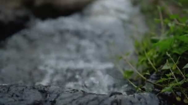 Vidéo d'une belle jeune fille brune européenne avec maquillage et lignes ethniques peintes sur le corps marchant dans un jardin tropical