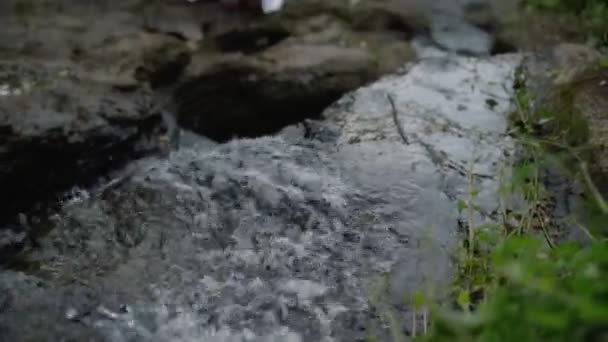 Vidéo d'une belle jeune fille brune européenne avec maquillage et lignes ethniques peintes sur le corps marchant dans un jardin tropical