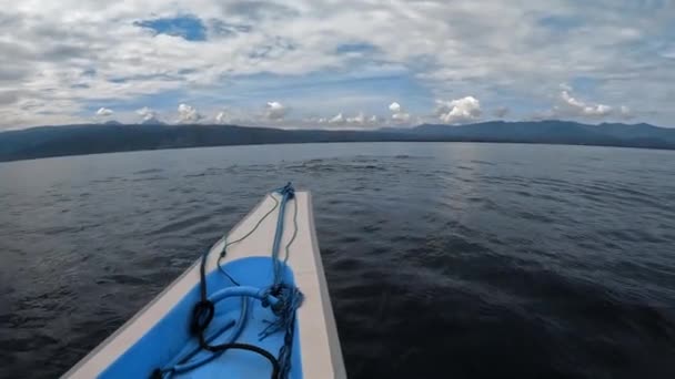 Родина Stenellalongirostris Дельфінів Які Вистрибують Води Відкритому Прозорому Морі Острові — стокове відео