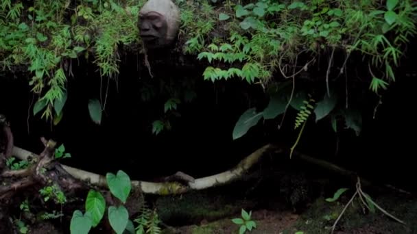 Video Ancient Mystical Place Jungle Indonesia Faces Perfume Forest Carved — Stock Video