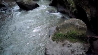 Bir kayalık nehir ve yeşil ağaçlarla yüksek bir dağdaki bir ormanın videosu.
