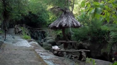 Bir kayalık nehir ve yeşil ağaçlarla yüksek bir dağdaki bir ormanın videosu.