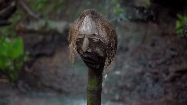Vidéo Ancien Lieu Mystique Dans Jungle Indonésienne Avec Des Visages — Video