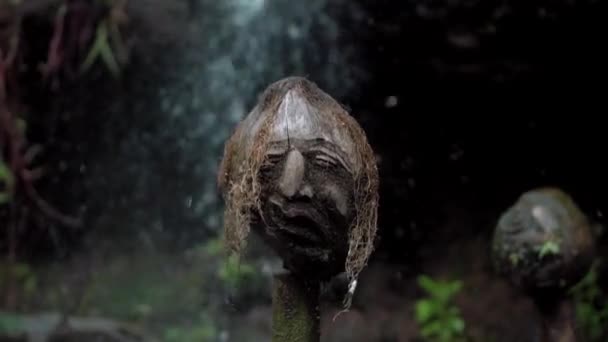 Video Starého Mystického Místa Indonéské Džungli Děsivými Tvářemi Parfému Lesa — Stock video