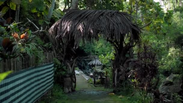 Video Van Een Jungle Naar Een Klif Een Hoge Berg — Stockvideo