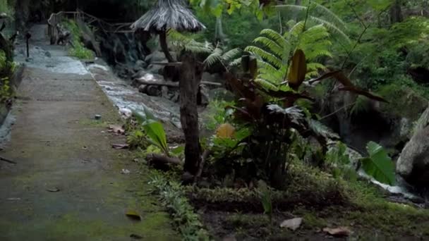 Video Una Giungla Una Scogliera Alta Montagna Con Fiume Roccia — Video Stock