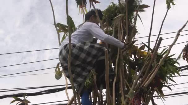 Desa Munggu Kabupaten Badung Bali Indonésia Fevereiro 2020 Cerimônia Mekotek — Vídeo de Stock