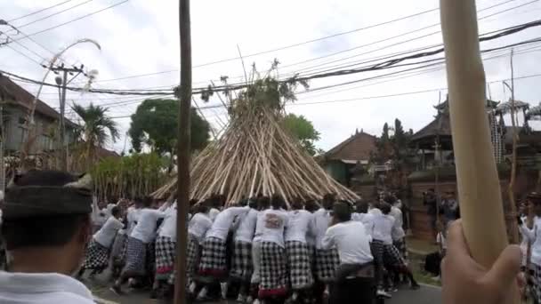 Desa Munggu Kabupaten Badung Bali Indonesien Februar 2020 Die Zeremonie — Stockvideo