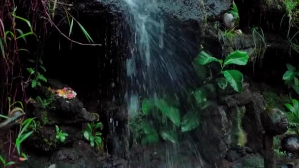 Vídeo Uma Selva Para Penhasco Uma Montanha Alta Com Rio — Vídeo de Stock