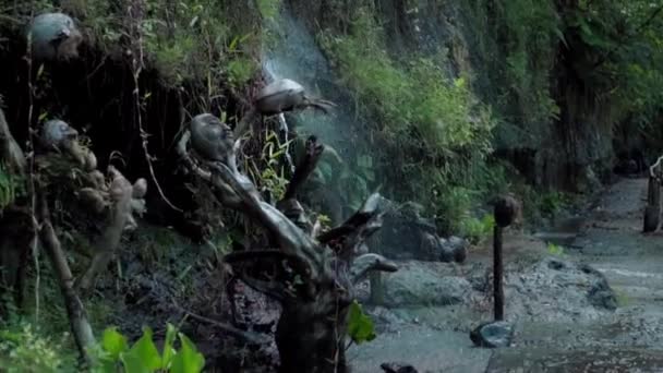 岩の川と緑の木々がある高い山の崖へのジャングルのビデオ — ストック動画