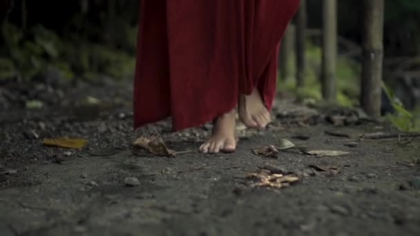 赤いドレスで熱帯雨林の滑らかな岩に沿って歩く女性の裸足の足のビデオ — ストック動画