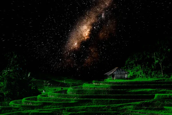 Ilustração Campo Arroz Verde Baile Com Pequeno Mirante Céu Estrelado — Fotografia de Stock