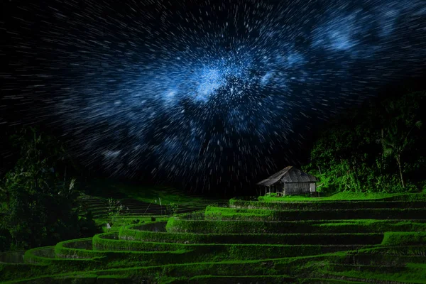 Ilustração Campo Arroz Verde Baile Com Pequeno Mirante Céu Estrelado — Fotografia de Stock