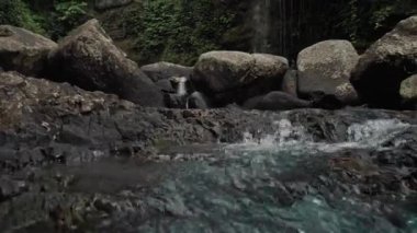 Endonezya 'daki Bali Adası' ndaki bir ormanın ortasındaki uzun bir şelalenin videosu.
