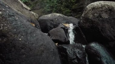 Endonezya 'daki Bali Adası' ndaki bir ormanın ortasındaki uzun bir şelalenin videosu.