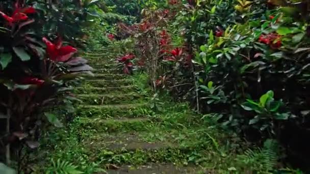 Vidéo Première Personne Une Personne Convenable Sur Vieil Escalier Rocheux — Video