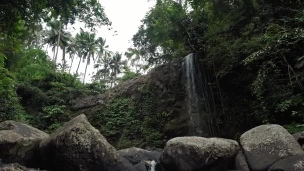 Video Alta Cascata Nel Mezzo Una Foresta Sull Isola Bali — Video Stock