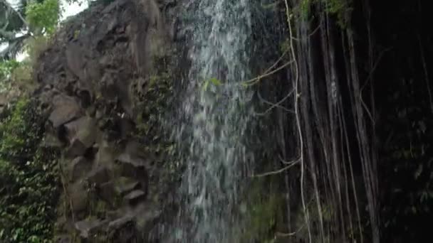 Video Van Een Hoge Waterval Midden Een Bos Bali Eiland — Stockvideo