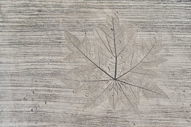 Beton dekore edilmiş eski duvarın dış kabartmalı tropikal büyüme bitkisinin deseni.