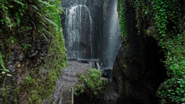 Bir orman fotoğrafı yüksek bir dağdaki uçuruma kaya nehri ve yeşil ağaçlarla