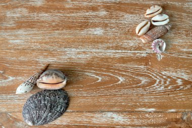 Ahşap desenli bir tahtanın üzerinde duran çok renkli deniz kabuklarıyla arka plan