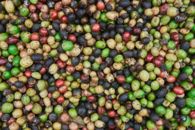 Yerde yeşil, sarı, kırmızı ve mavi renkli taze kahve çekirdekleri var..