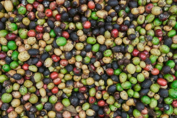 Yerde yeşil, sarı, kırmızı ve mavi renkli taze kahve çekirdekleri var..