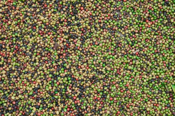 Zdjęcie Świeżych Ziaren Kawy Kolorze Zielonym Żółtym Czerwonym Niebieskim Leżących — Zdjęcie stockowe
