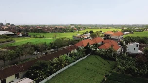 Vídeo Campos Verdes Arroz Com Casas Com Telhados Vermelhos Palmeiras — Vídeo de Stock