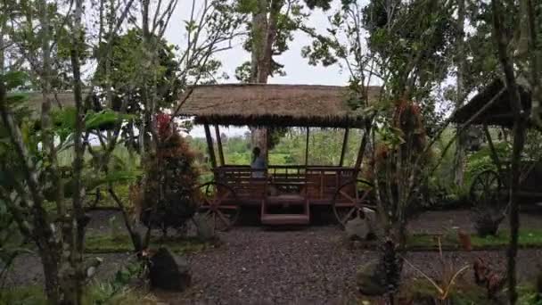 Yeşil Bir Vadiden Arabasıyla Video Çekimi Bali Adasındaki Bir Palmiye — Stok video