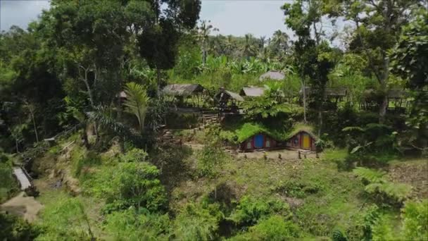 Drone Video Kręcące Zielonej Doliny Domem Stojącym Wśród Palm Lasu — Wideo stockowe