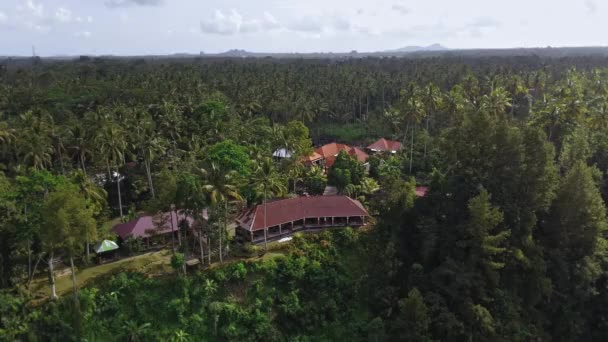 Drón videó forgatás egy zöld völgyben egy ház áll egy pálmafák között a sziget Bali