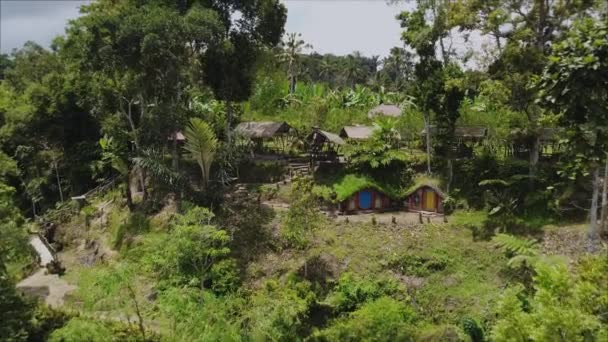 Съемка Беспилотника Зеленой Долины Домом Стоящим Среди Пальмового Леса Статуями — стоковое видео