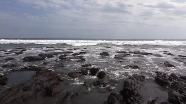 Video Mořského Trubce Korálovými Útesy Velkými Vlnami — Stock video