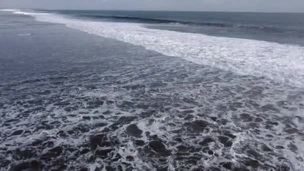 Video Mořského Trubce Korálovými Útesy Velkými Vlnami — Stock video