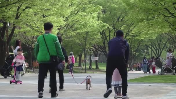 Seoul Südkorea Mai 2019 Spaziergänger Park Familien Mit Kindern Hunden — Stockvideo