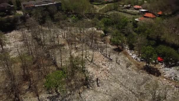 Vidéo Forêts Drones Avec Beaucoup Débris Plastique Des Masques Protection — Video