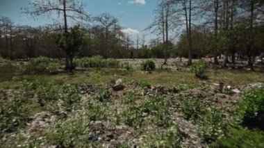 Yerde bir sürü plastik enkaz ve koruyucu maskeli insansız hava aracı ormanlarından görüntüler var.