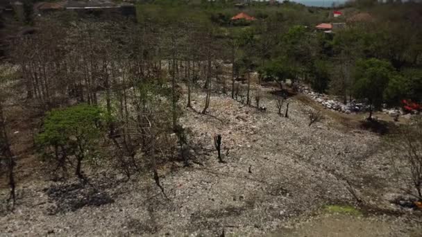 Video Drone Forests Lot Plastic Debris Protective Masks Lying Ground — Stock Video