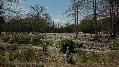 Yerde bir sürü plastik enkaz ve koruyucu maskeli insansız hava aracı ormanlarından görüntüler var.