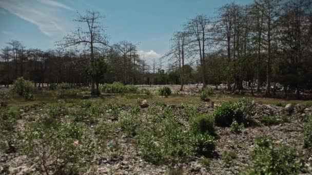 Video Van Drone Bossen Met Veel Plastic Puin Beschermende Maskers — Stockvideo