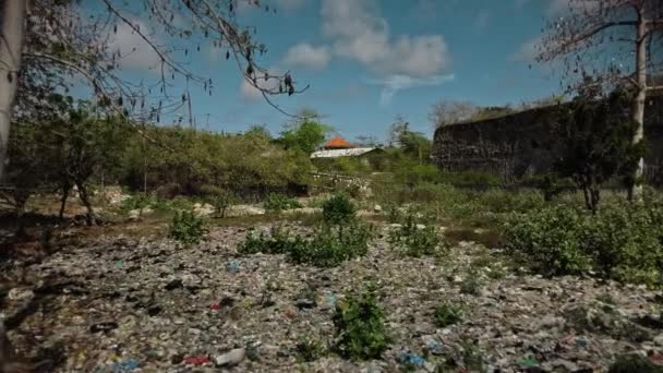 Видео Беспилотных Лесов Большим Количеством Пластиковых Обломков Защитных Масок Лежащих — стоковое видео