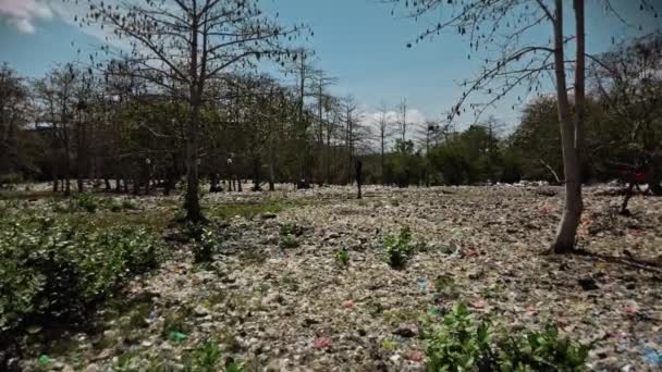 地面に横たわるプラスチック破片や保護マスクがたくさんあるドローンの森からのビデオ — ストック動画