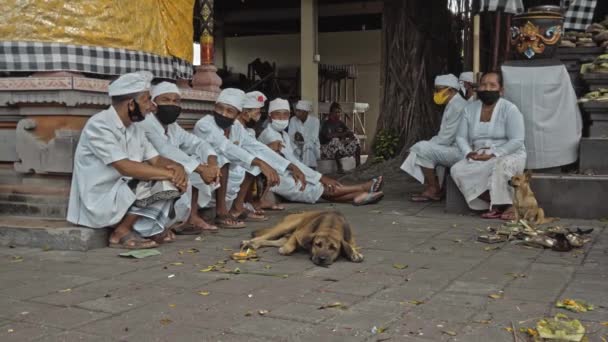 Desa Munggu Mengwi Kabupaten Badung Bali Indonesia Settembre 2020 Piccolo — Video Stock