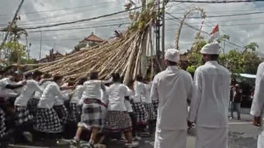 Desa Munggu, Mengwi, Kabupaten Badung, Bali, Endonezya - 26 Eylül 2020: Tören Mekotek. Mekotek, Hindular tarafından yüzyıllardır Bali 'de ilan edilen bir miras. Erkeklerin tuttuğu uzun sopalı bir ayin..