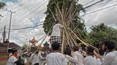 Desa Munggu, Mengwi, Kabupaten Badung, Bali, Endonezya - 26 Eylül 2020: Tören Mekotek. Mekotek, Hindular tarafından yüzyıllardır Bali 'de ilan edilen bir miras. Erkeklerin tuttuğu uzun sopalı bir ayin..