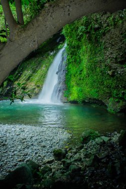 yeşil orman Endonezya hareket suyu ile şelale çerçeveleme