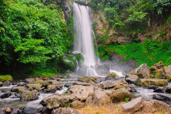 Beauty Waterfall Forest Amazing Daylight Moment — Stock Photo, Image