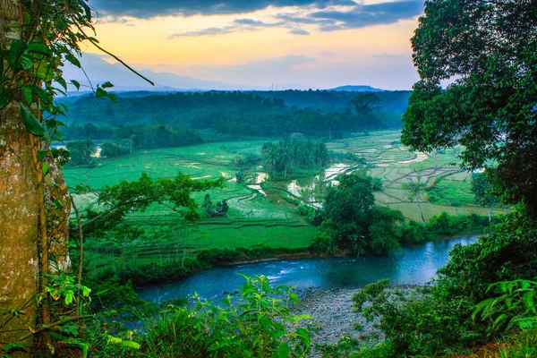 framing morning with misty forest in snake river indonesia