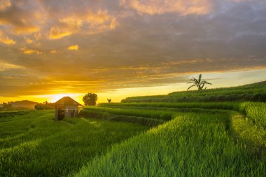 Endonezya ülkede güzellik gökyüzü ile yağmur sonra yaz sezonunda inanılmaz sunsset